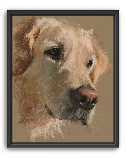 Warm fur in brown quietness