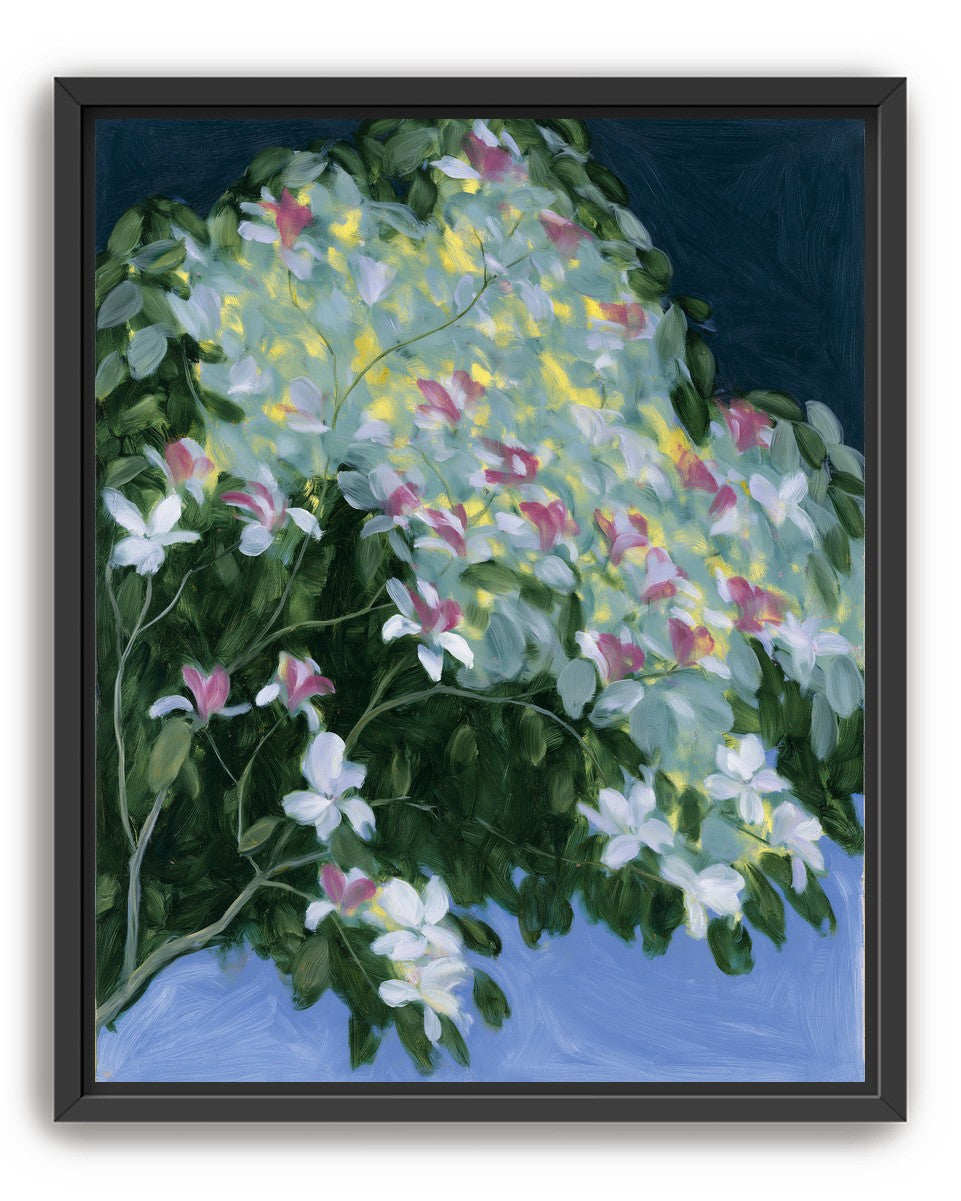 Blossoms across the night sky