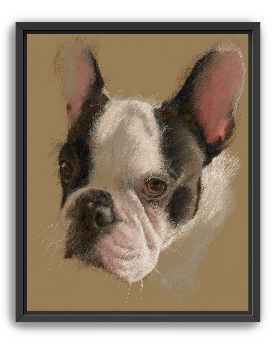 Close portrait with upright ears
