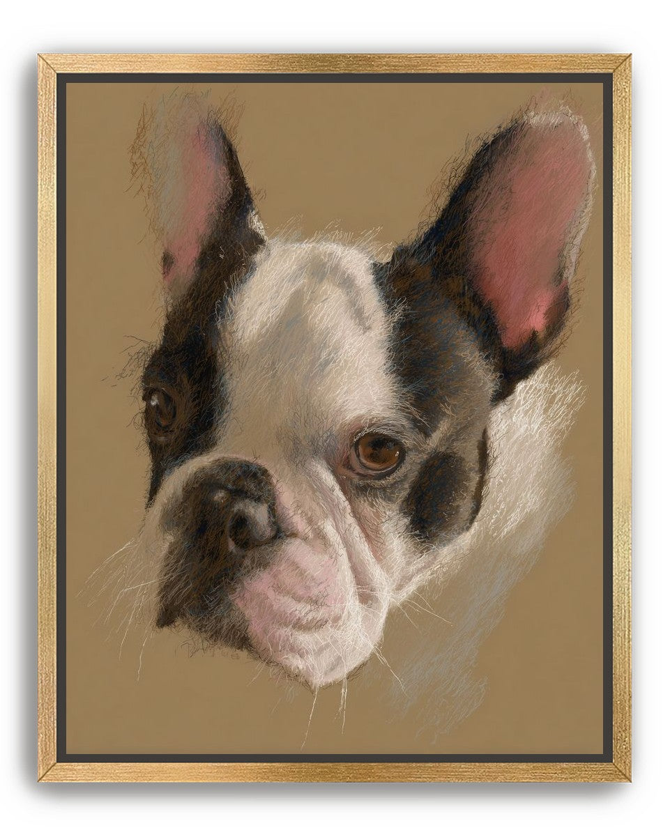 Close portrait with upright ears