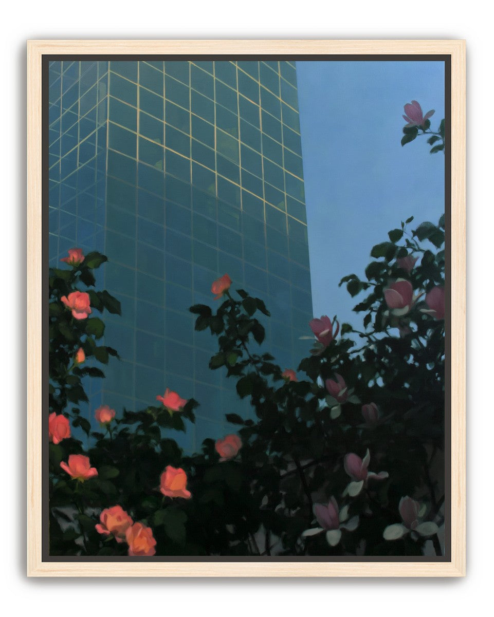 Roses beneath blue towers
