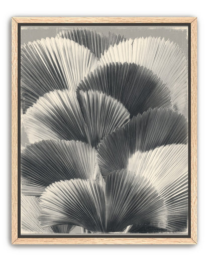 Ginkgo leaves in shadow