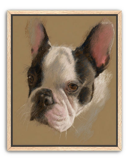 Close portrait with upright ears