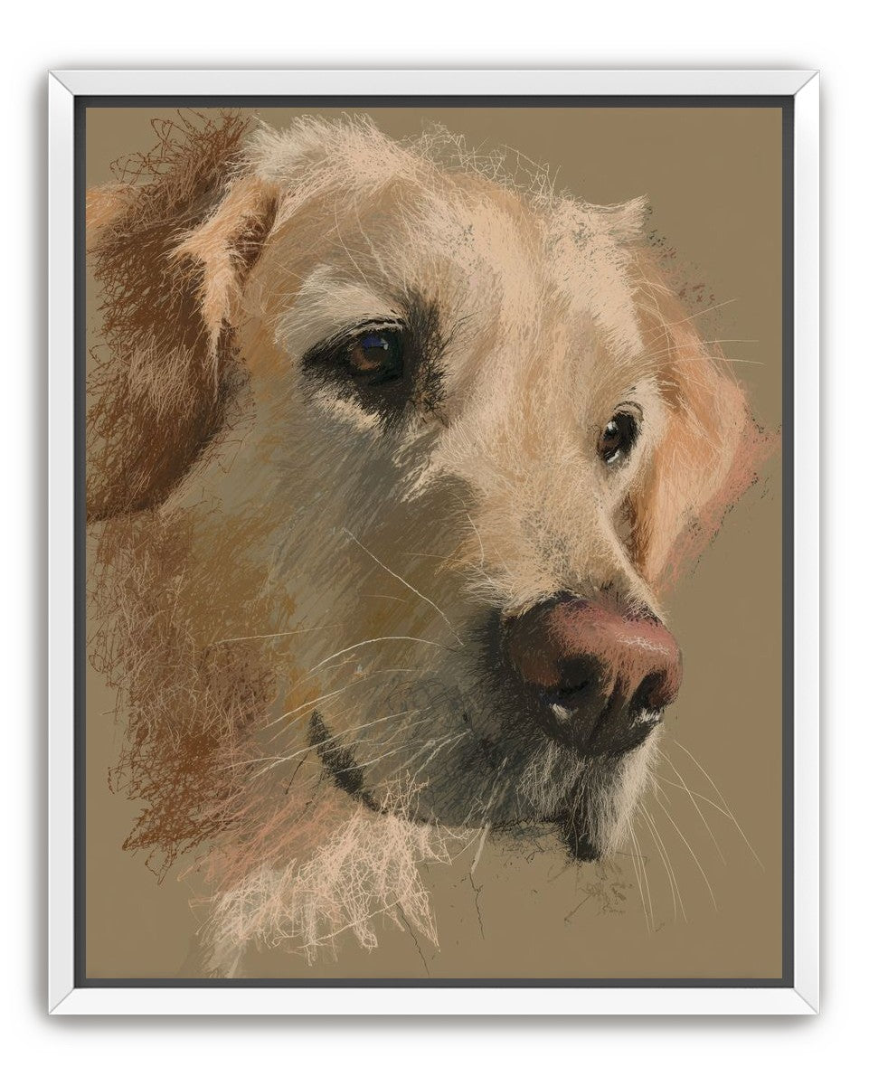 Warm fur in brown quietness