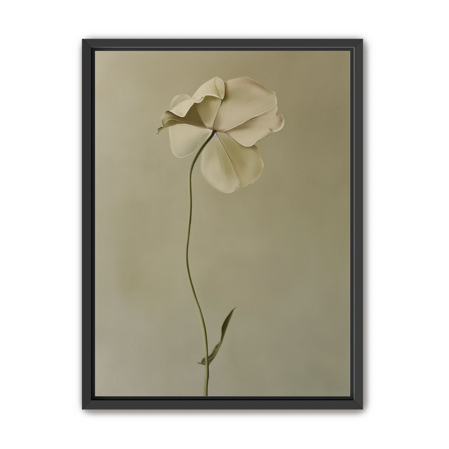 One flower leaning into quiet