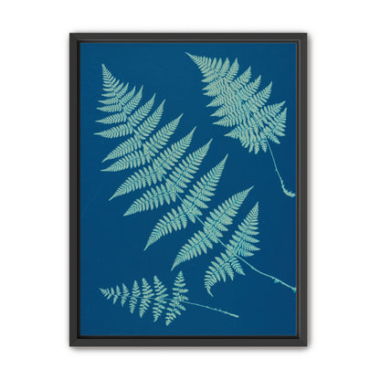 Pale ferns in deep blue