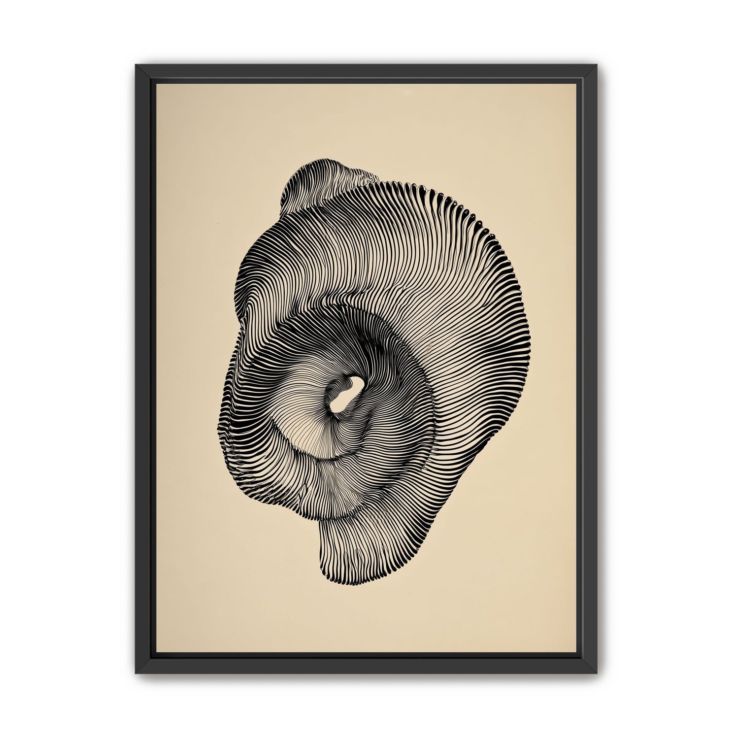 A hollow within black lines