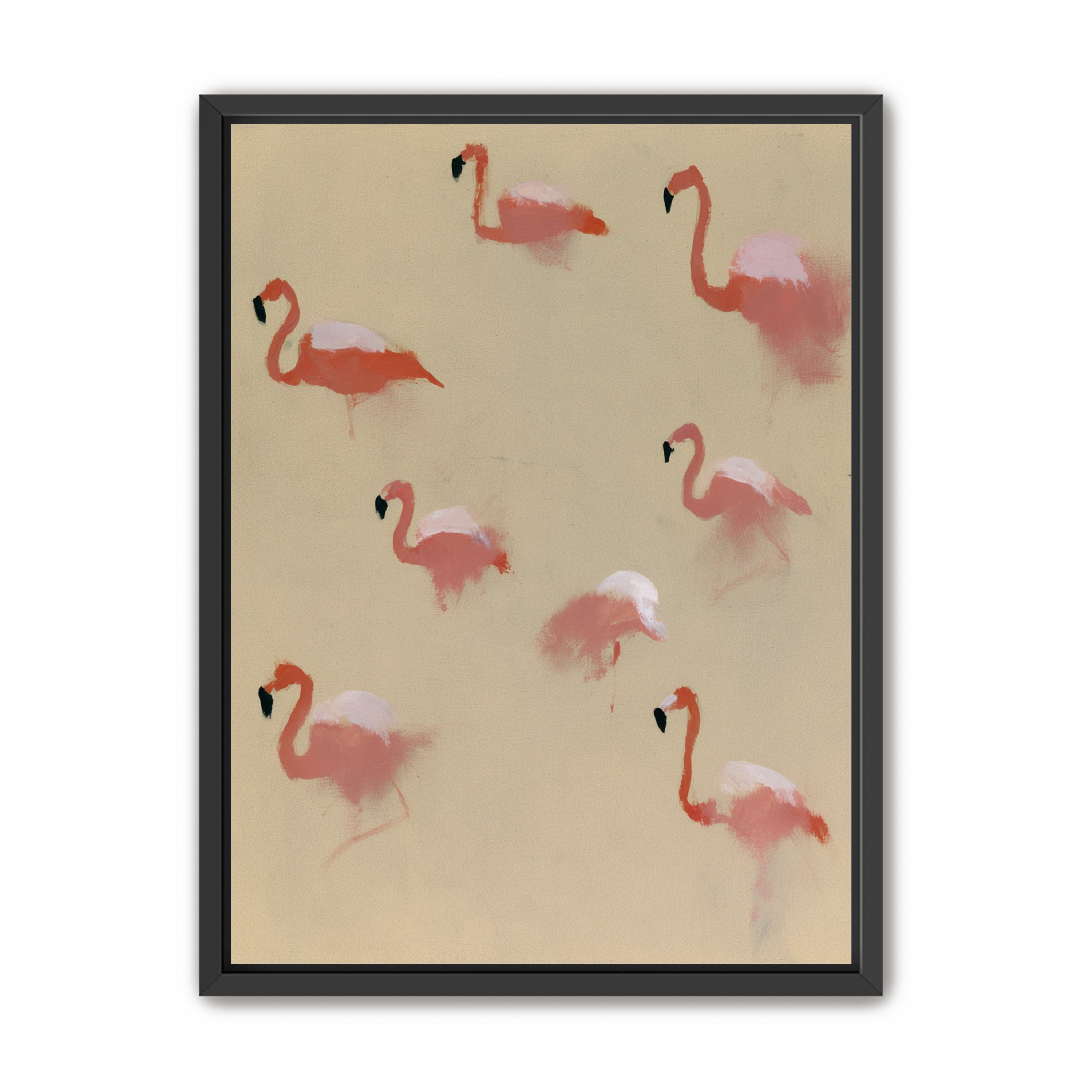 Flamingos in quiet drift
