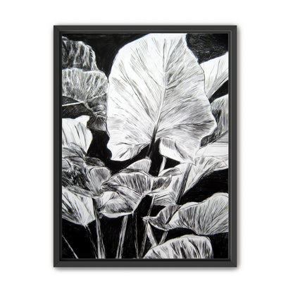 A Cluster of Leaves