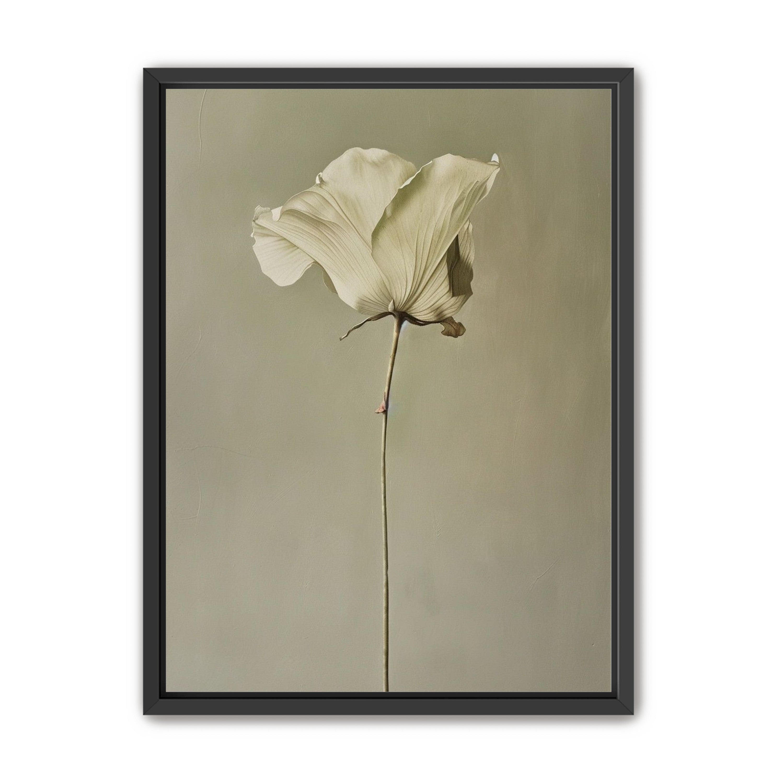 One flower and its hush