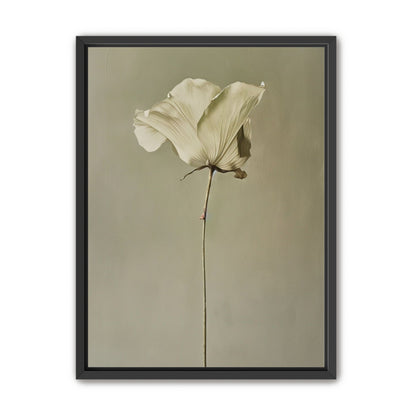 One flower and its hush