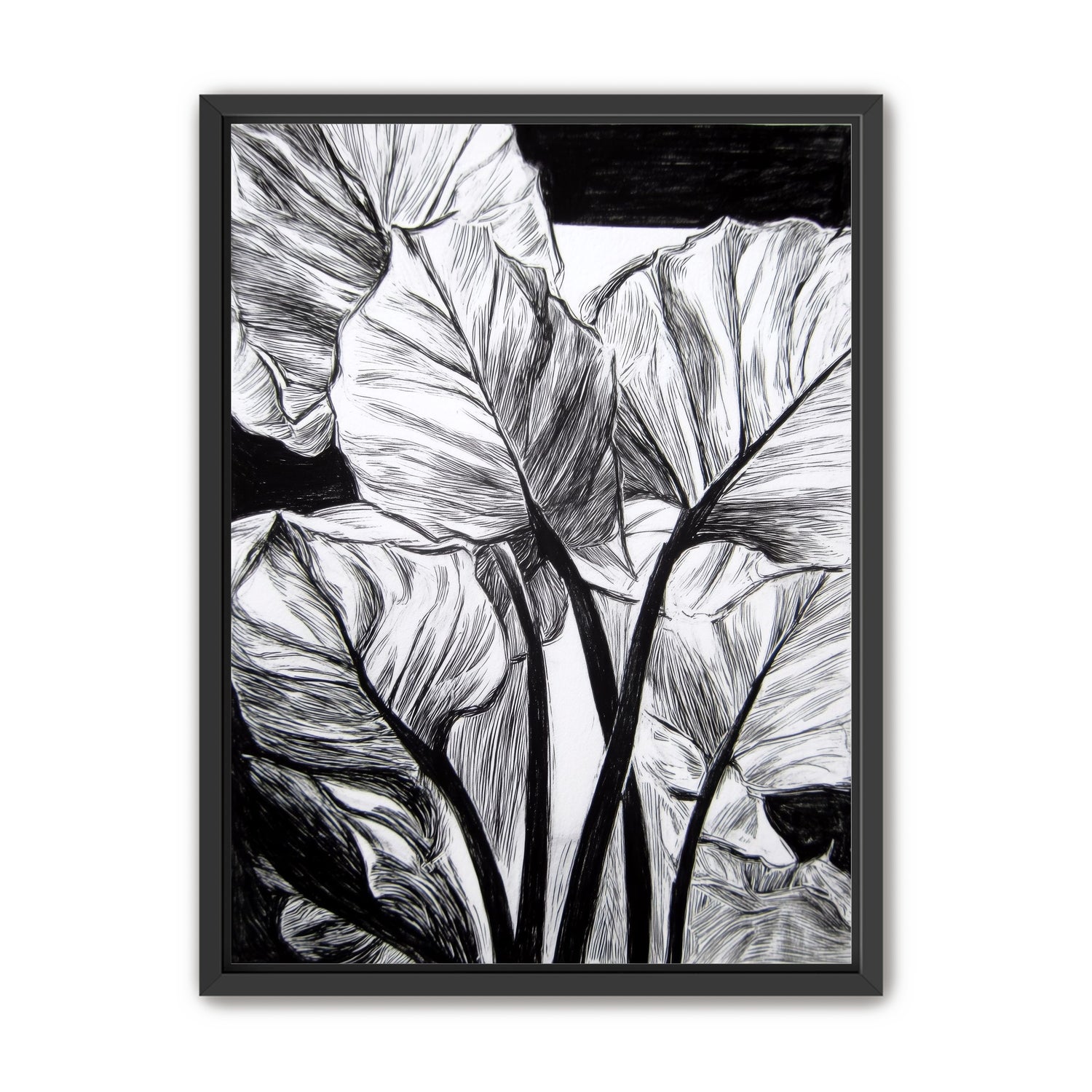 Overlapping Leaves on Dark Ground