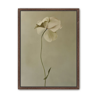One flower leaning into quiet