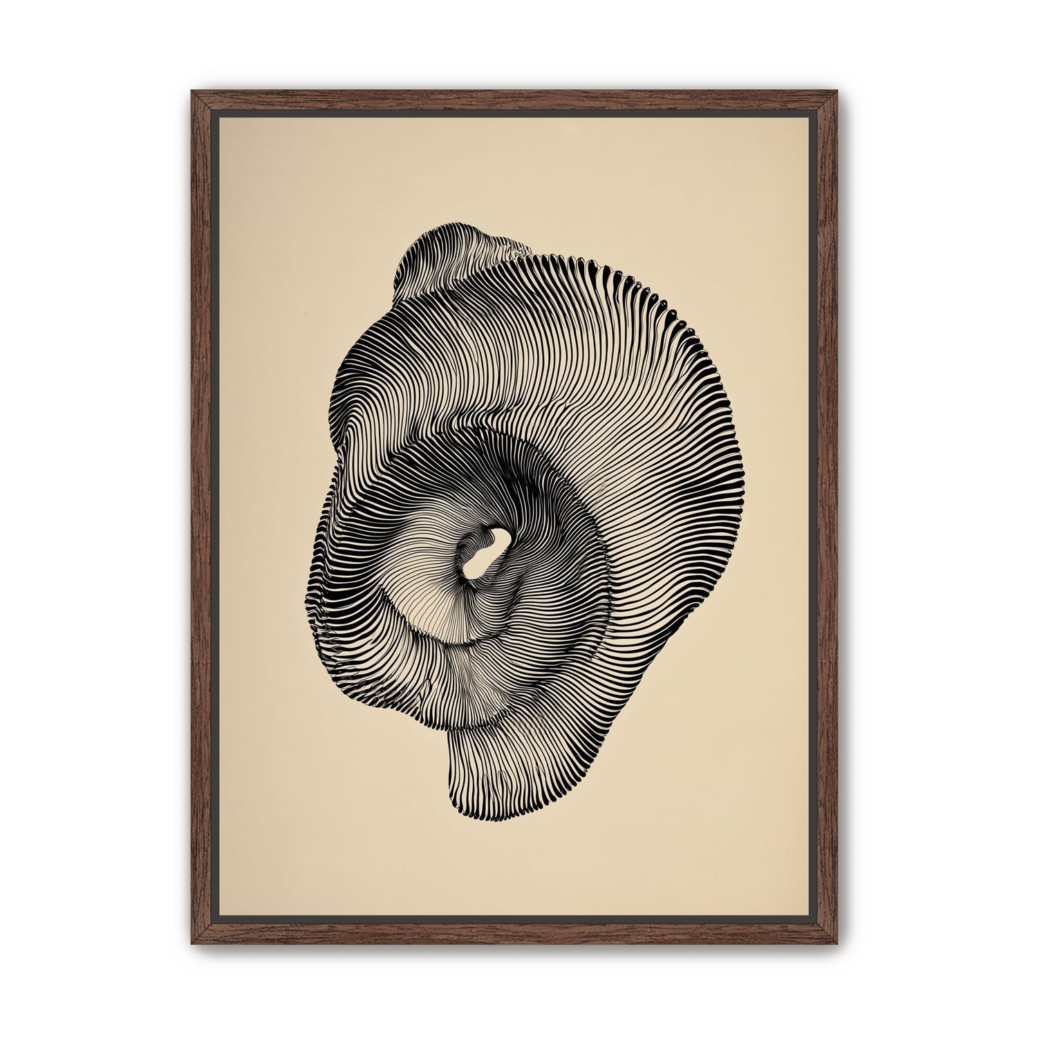A hollow within black lines