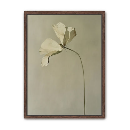 Cream petals in gray green air
