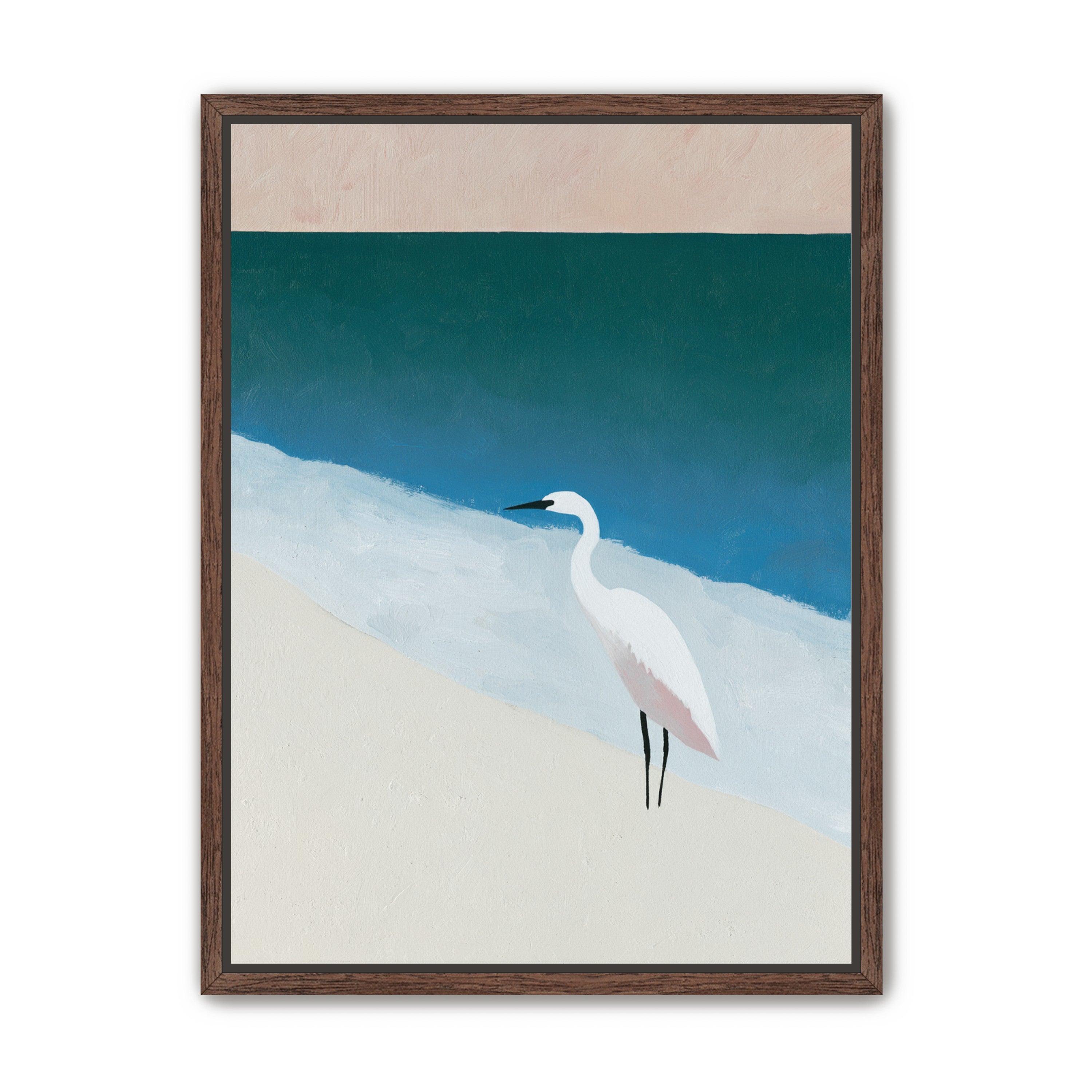 White egret at the shoreline