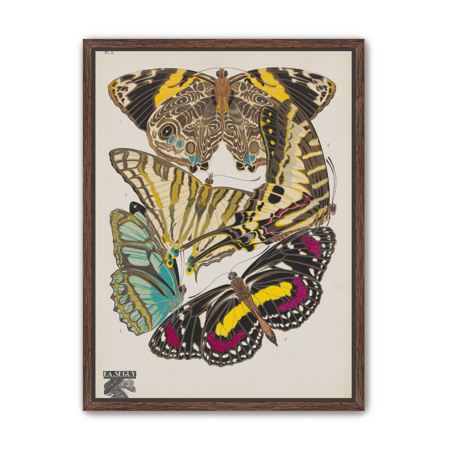 Butterflies among blank paper