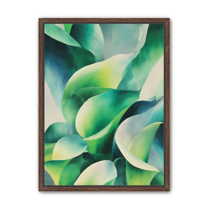 Calla lilies among green shadows