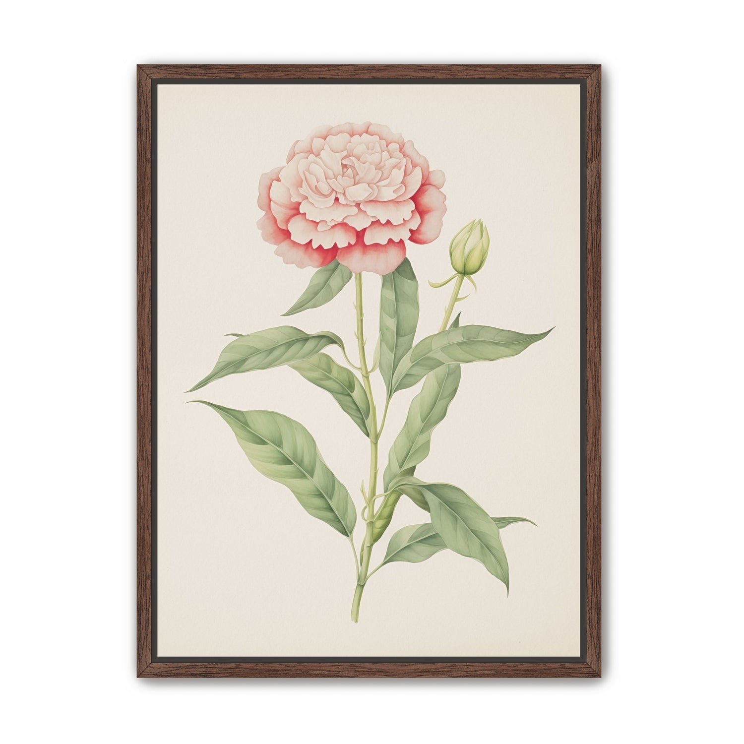 Delicate Blush
