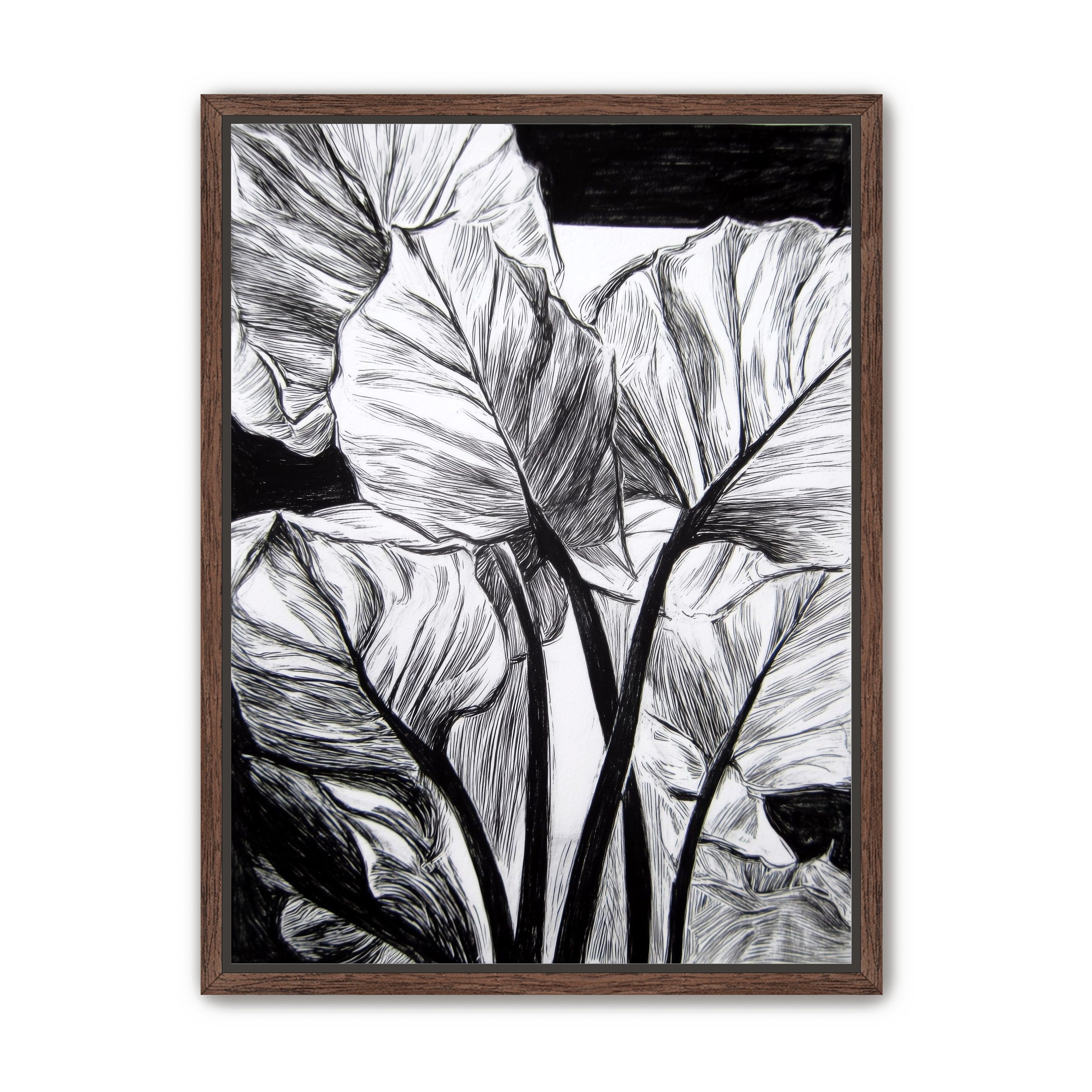 Overlapping Leaves on Dark Ground