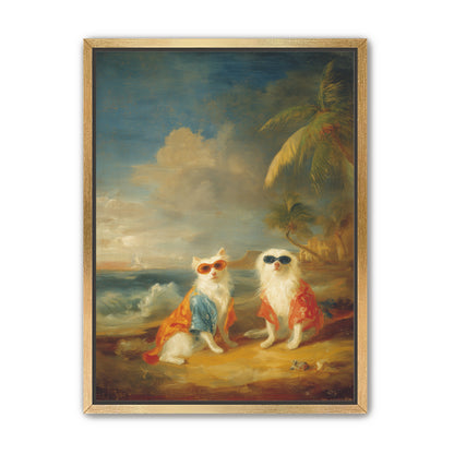 Sunglasses cats on the beach