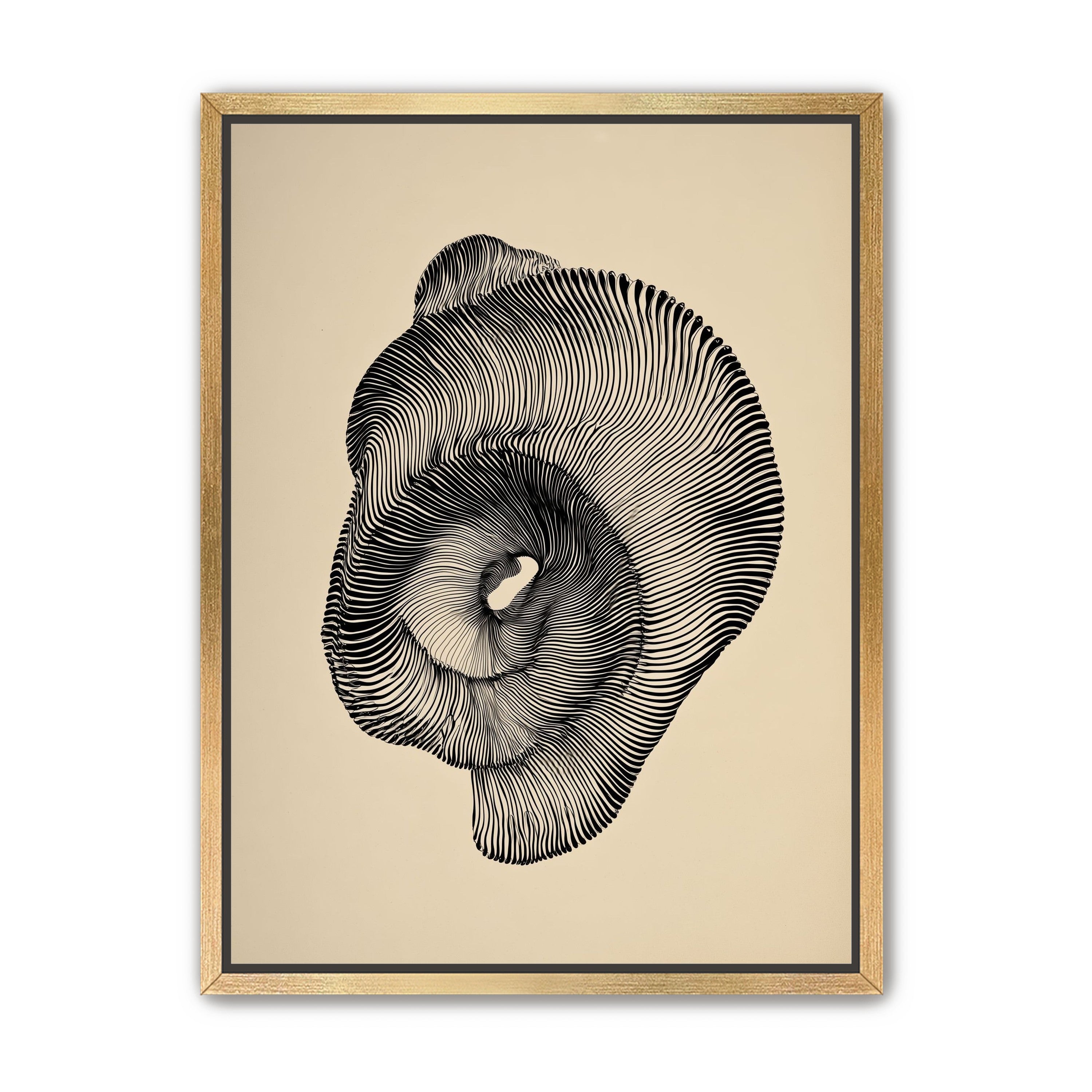 A hollow within black lines