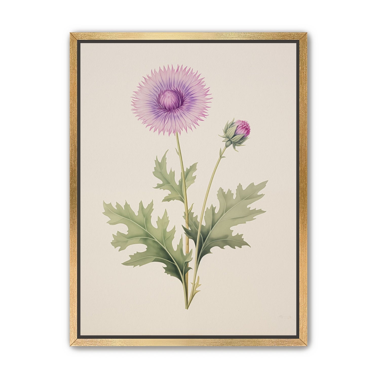 Lavender Radiance