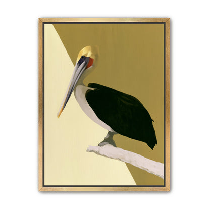 Pelican in quiet balance