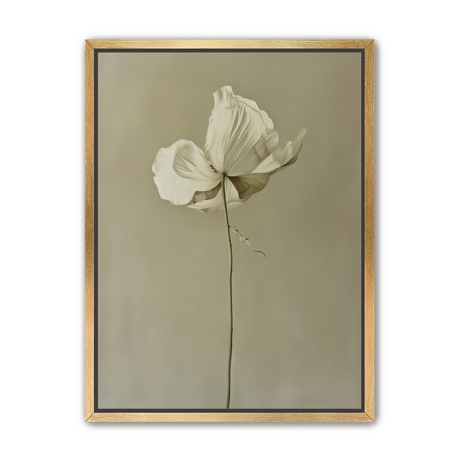 Ivory bloom in gray air
