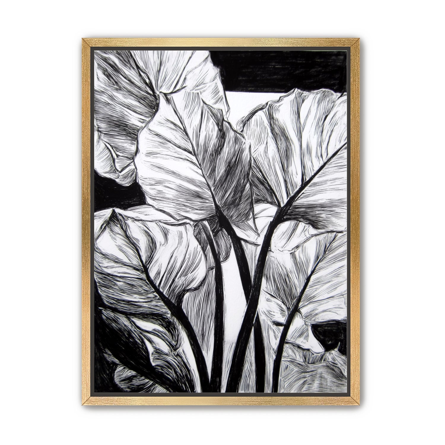 Overlapping Leaves on Dark Ground