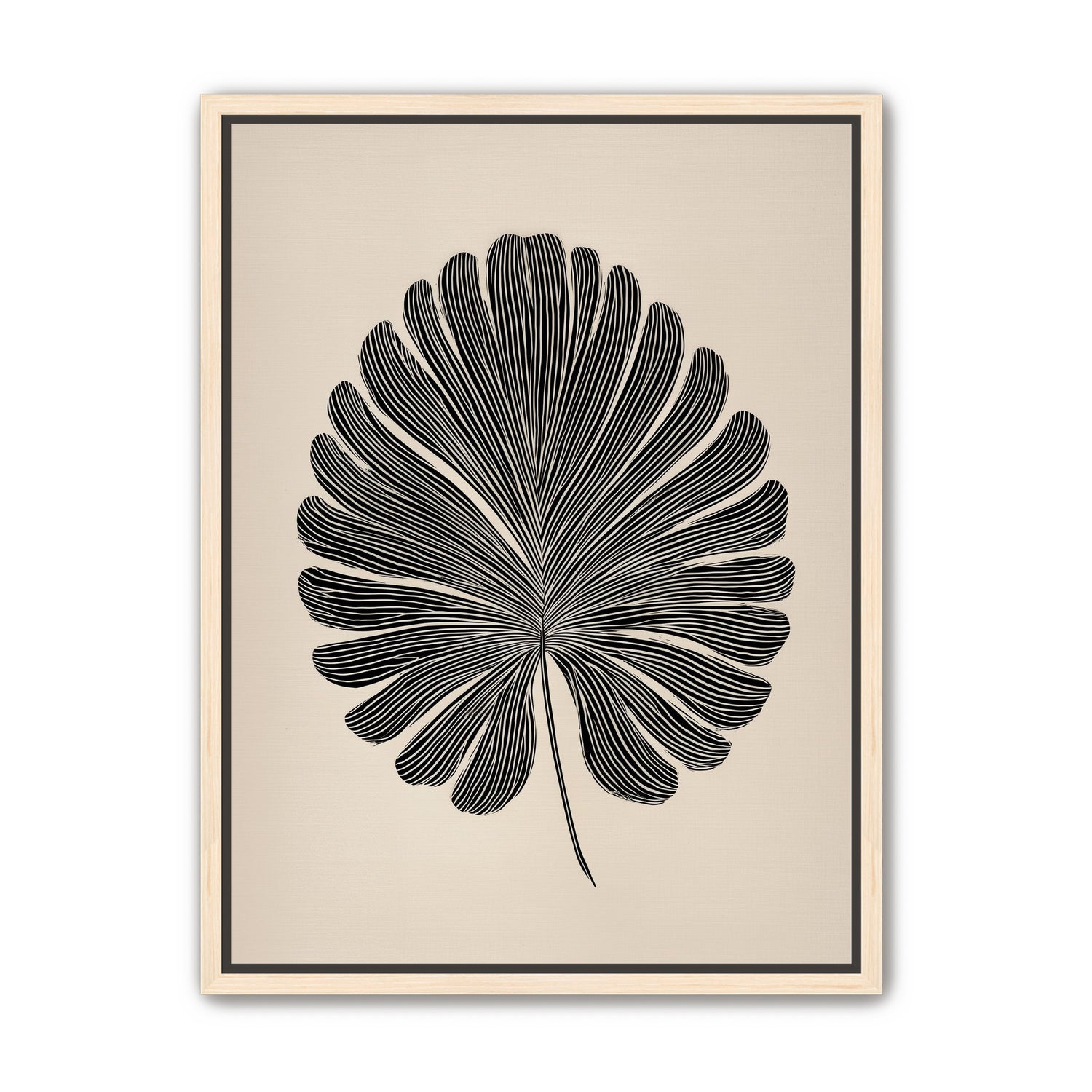 Striped fan leaf alone