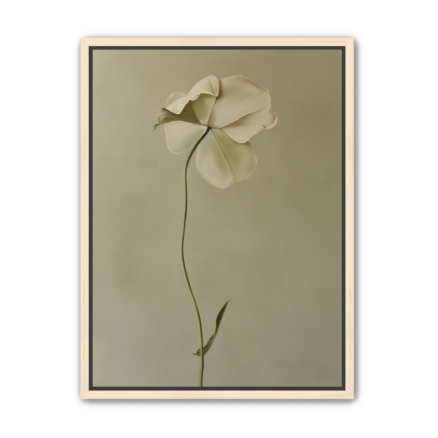 One flower leaning into quiet