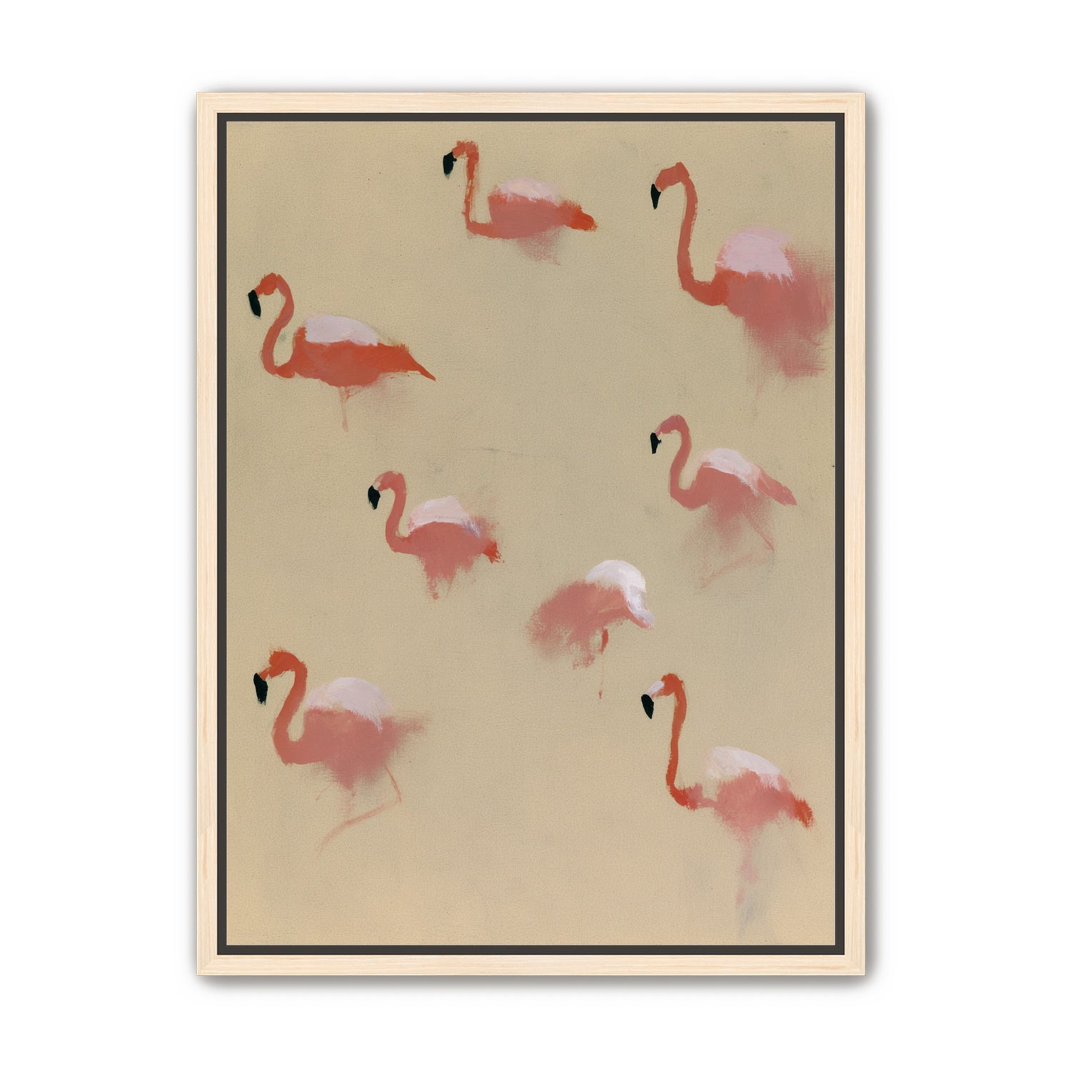Flamingos in quiet drift