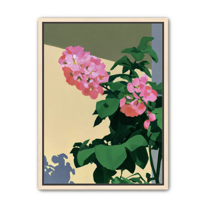 Pink blooms in hard light
