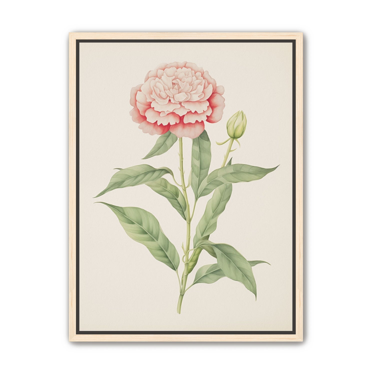 Delicate Blush