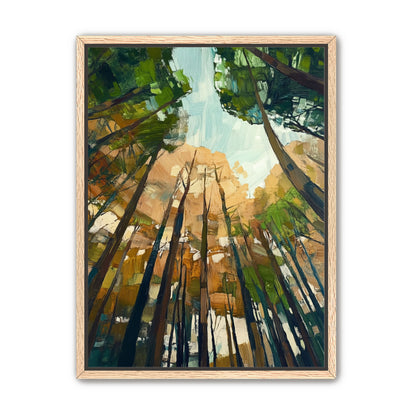 Canopy Lightfall