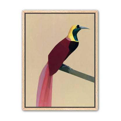 A bright bird on a branch
