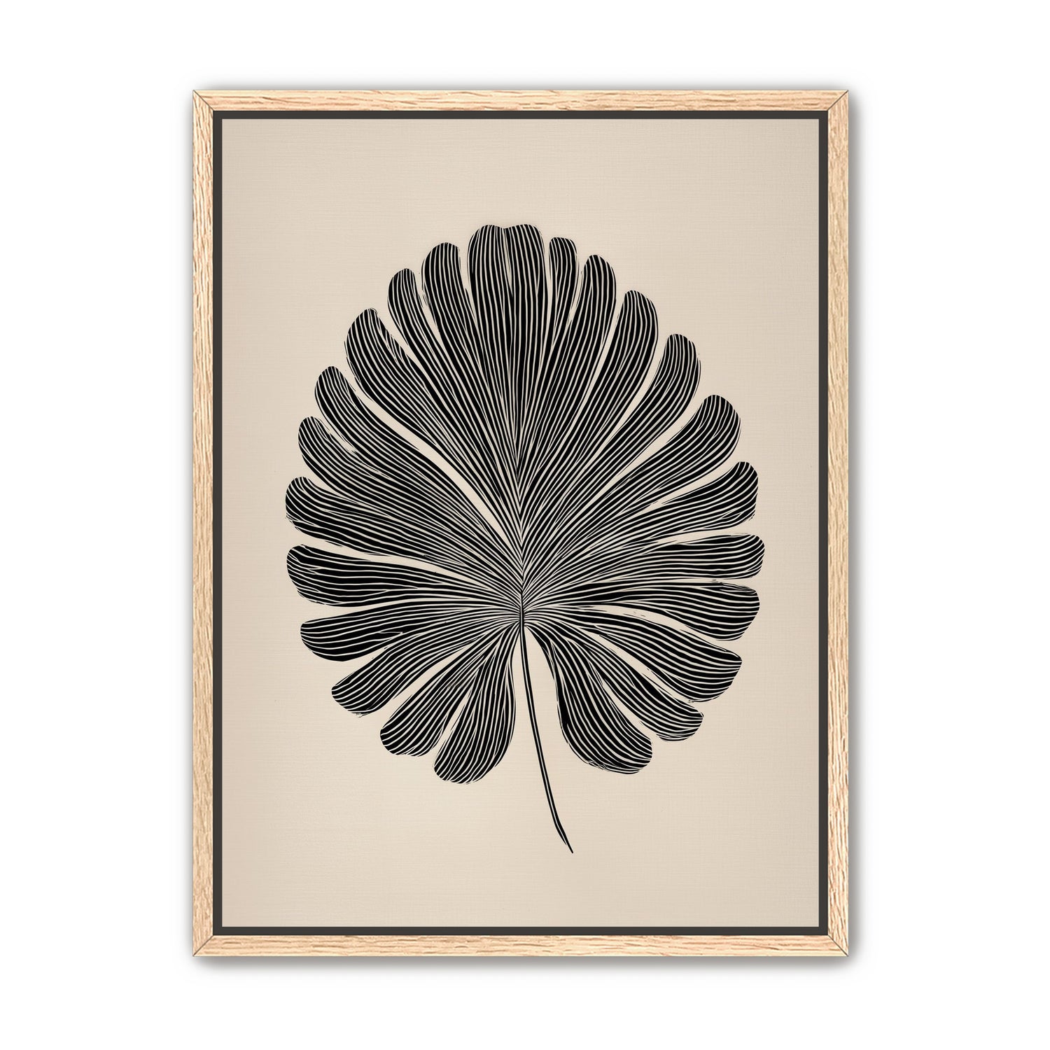 Striped fan leaf alone