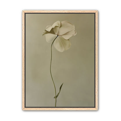 One flower leaning into quiet