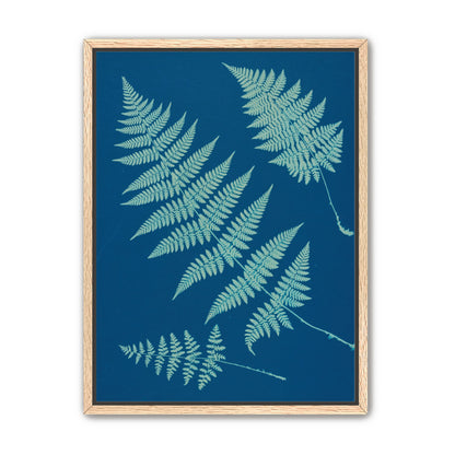 Pale ferns in deep blue