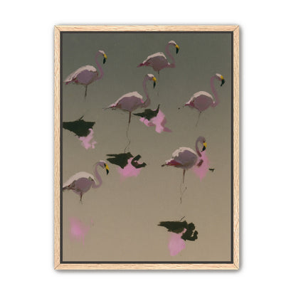 Flamingos in still water