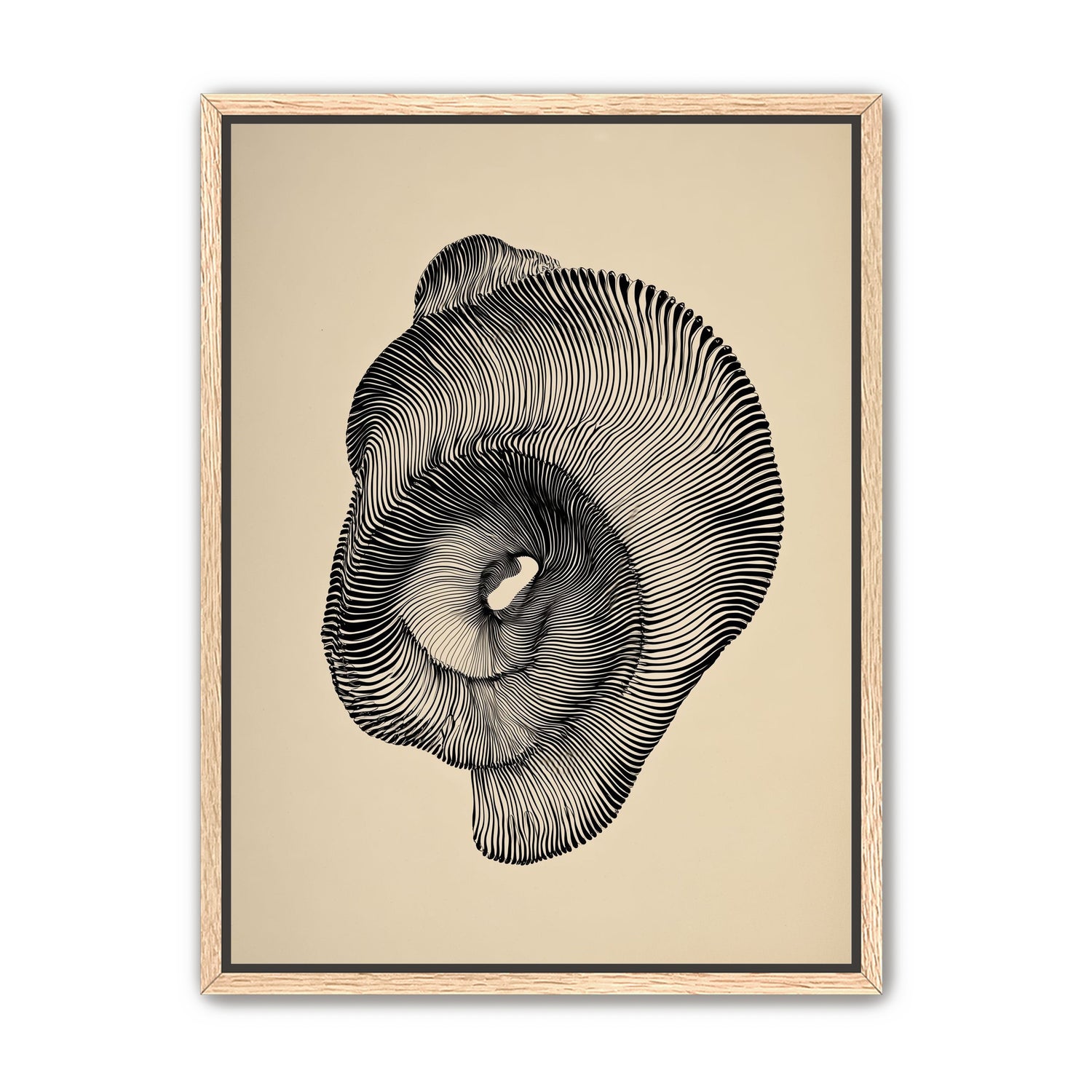A hollow within black lines