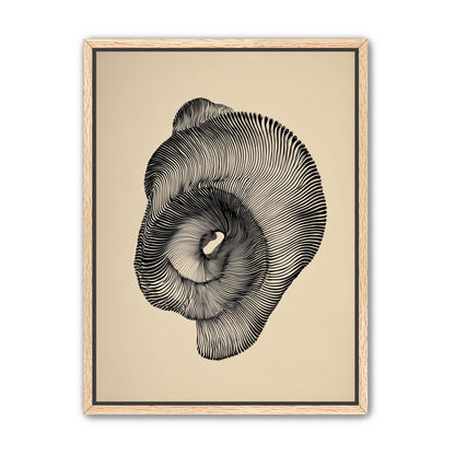 A hollow within black lines