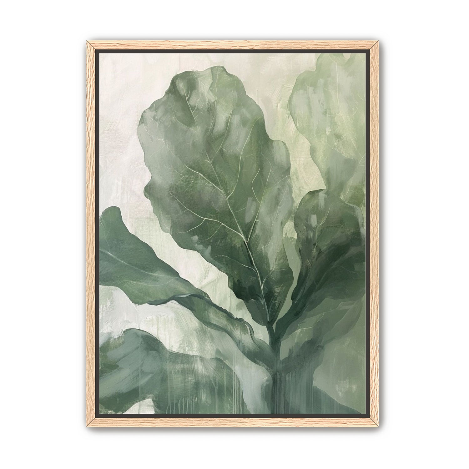 Sage leaves in pale light