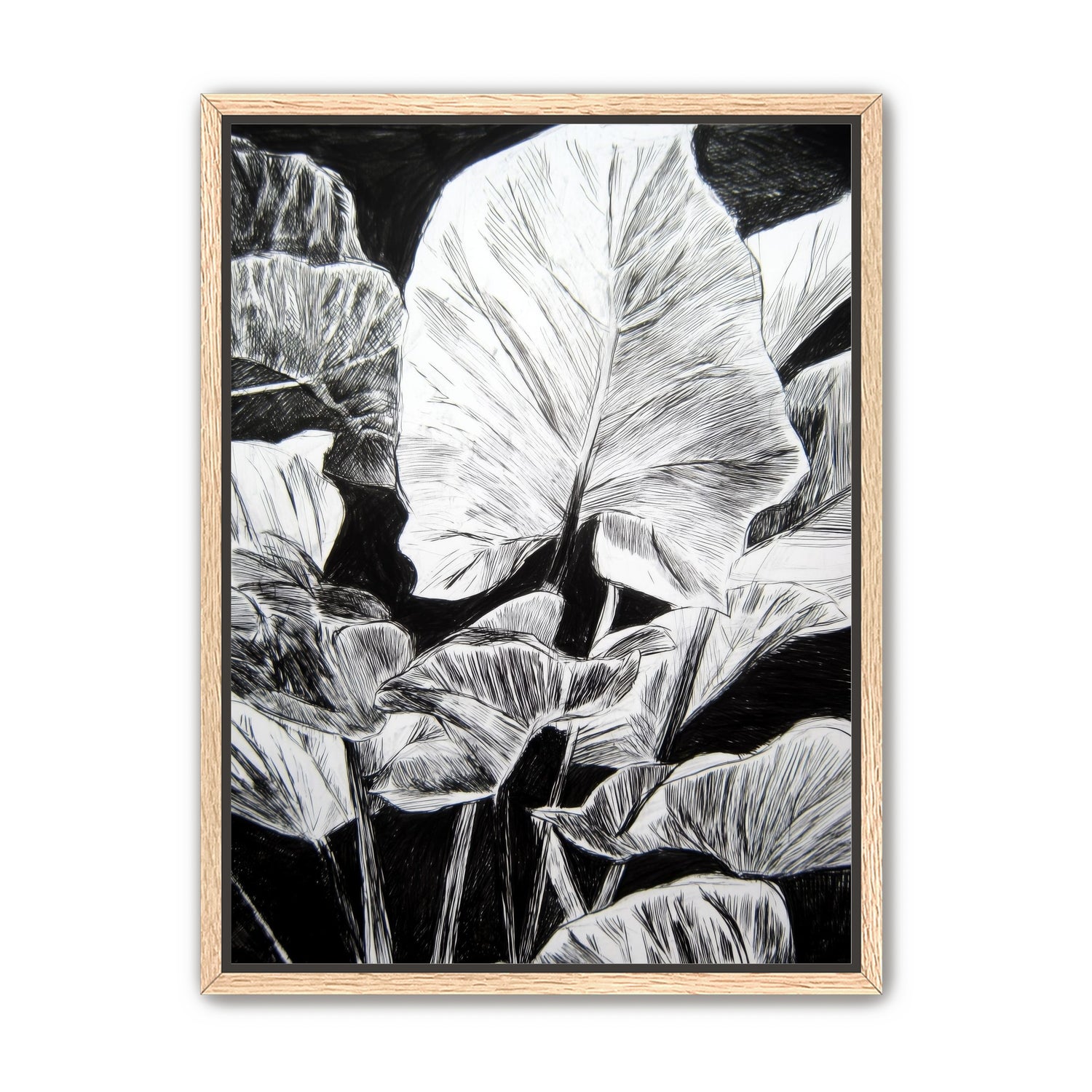 A Cluster of Leaves