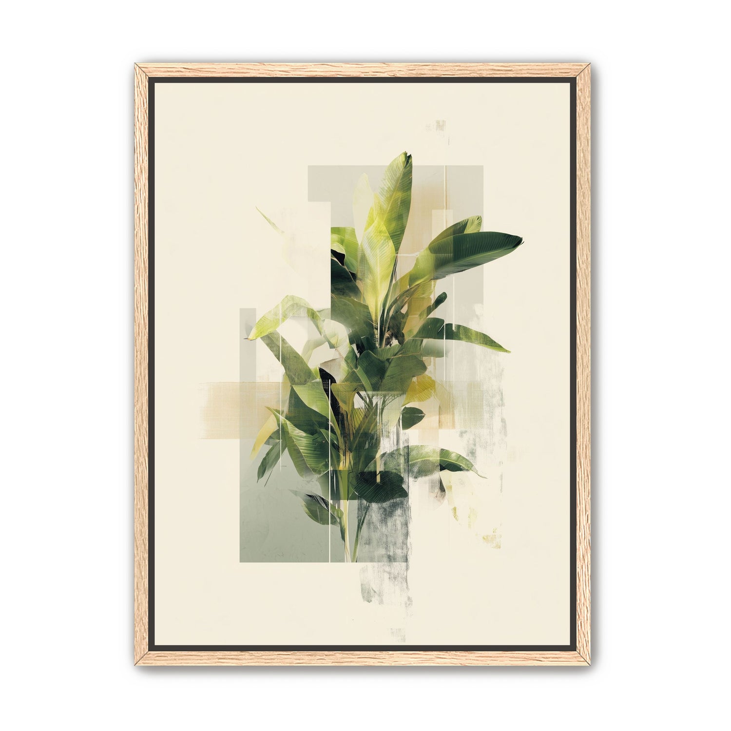 Plant in layered light