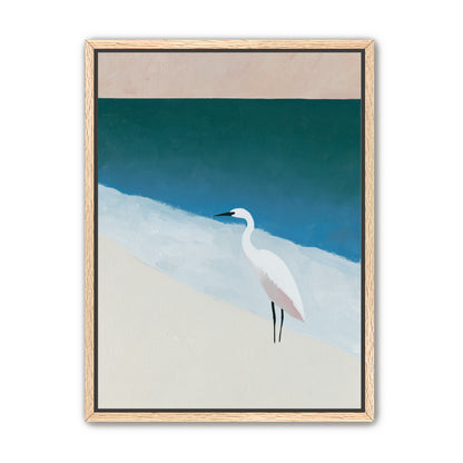 White egret at the shoreline