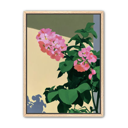 Pink blooms in hard light