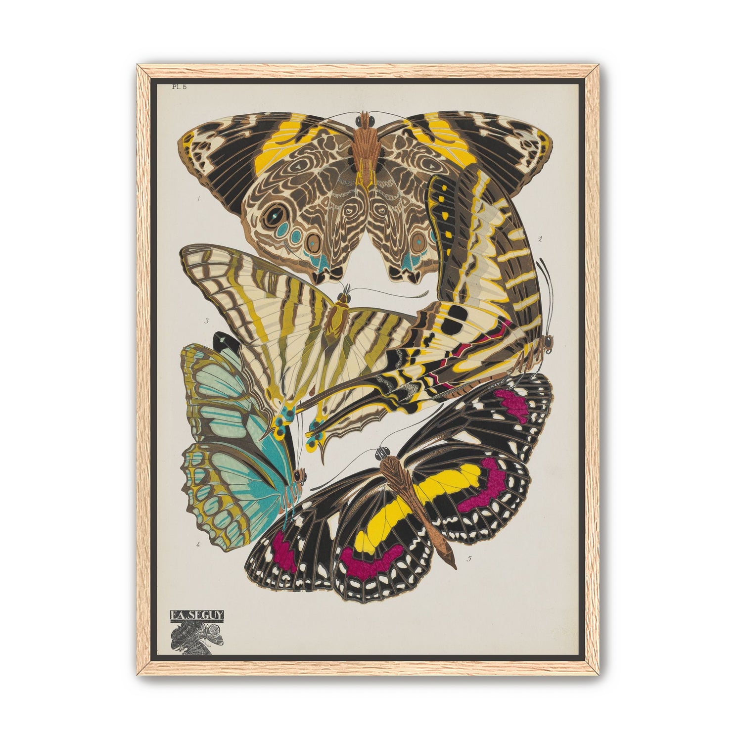 Butterflies among blank paper