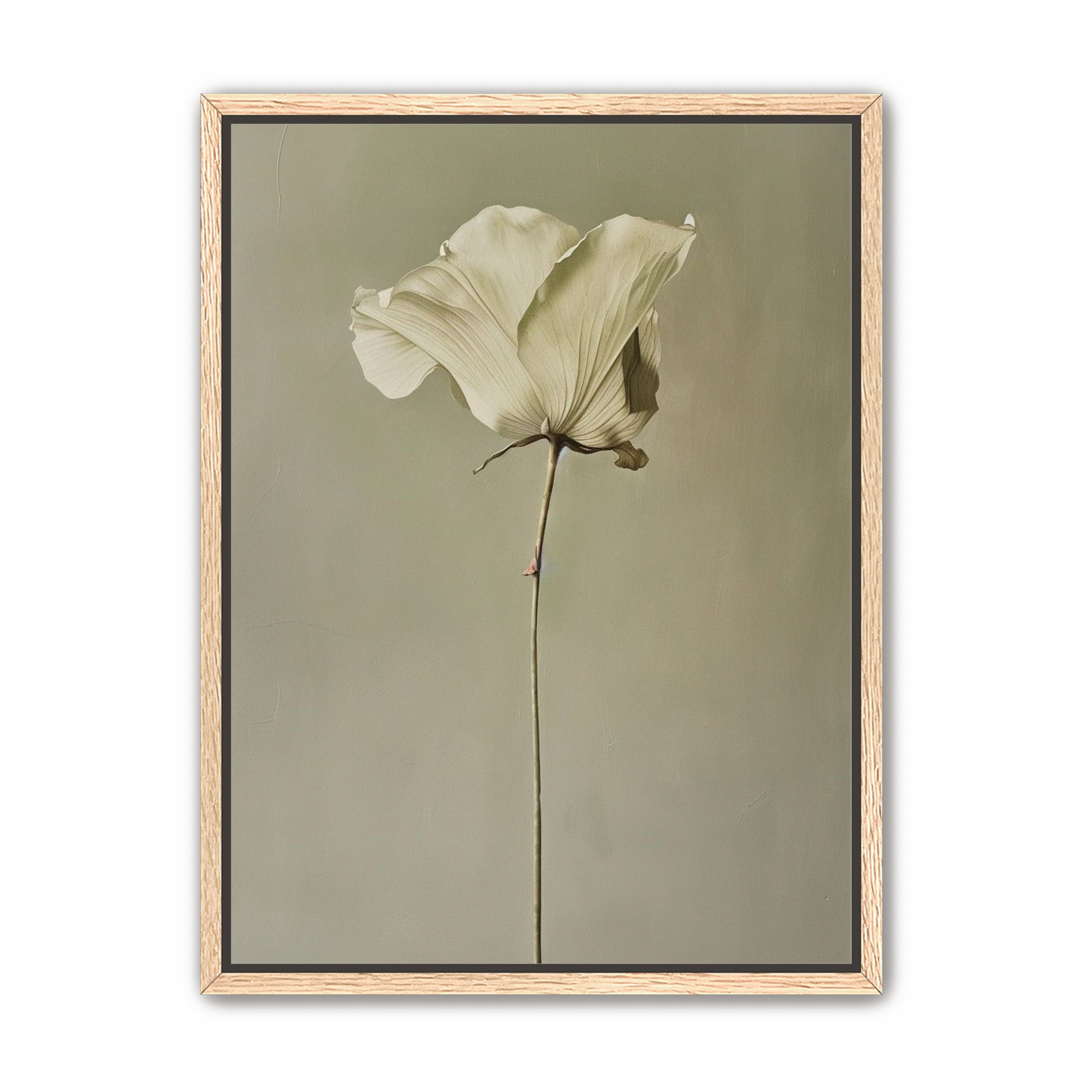 One flower and its hush